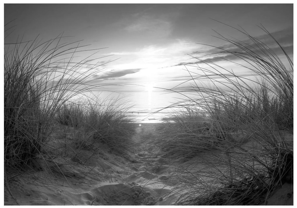 Φωτοταπετσαρία - beach (black and white) 300x210