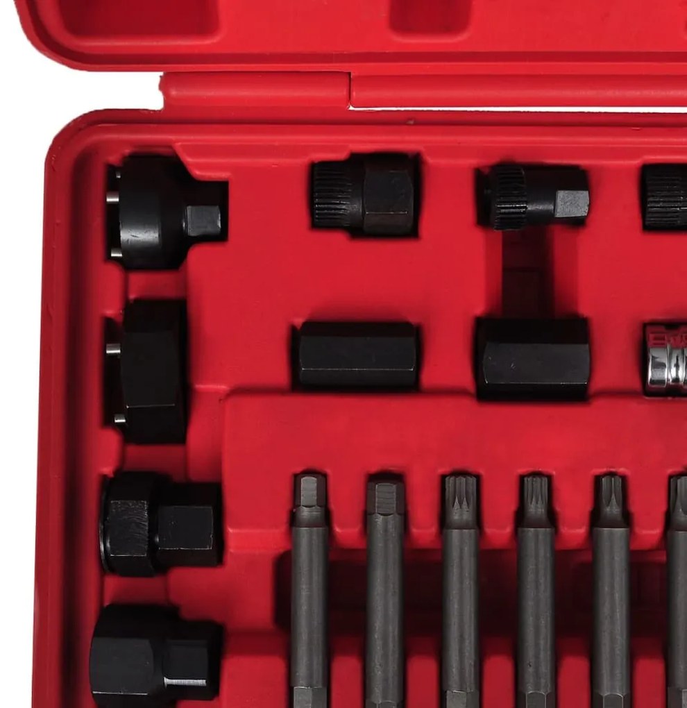 Σετ 22 τεμ. Εργαλείων Αφαίρεσης Τροχαλίας Δυναμό