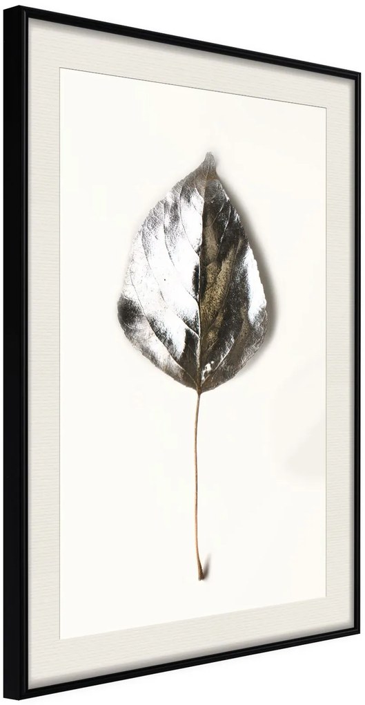 Αφίσα - Silvery Leaf - 20x30 - Μαύρο - Με πασπαρτού