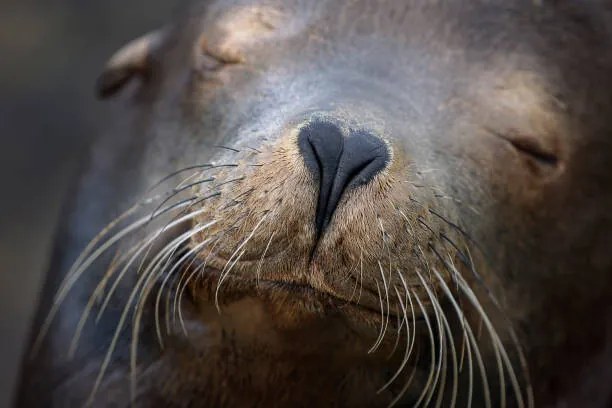 Φωτογραφία Adorable Close Up of Heart Shaped, Vicki Jauron, Babylon and Beyond Photography