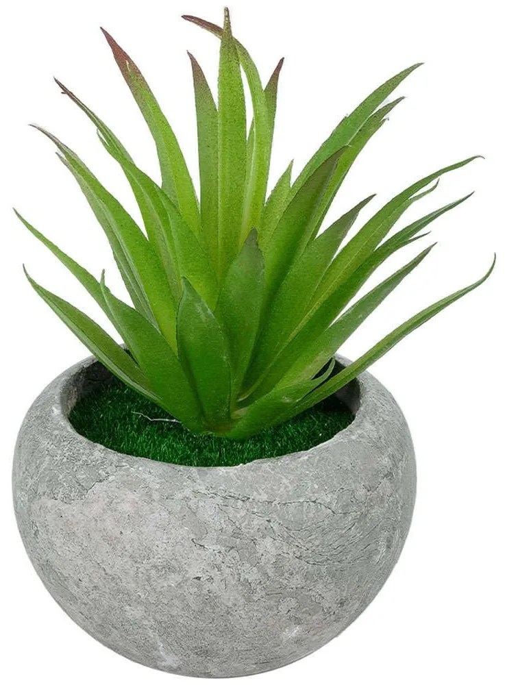 Τεχνητό Φυτό Σε Κασπώ Tillandsia 21036 Φ12x15cm Grey-Green GloboStar Πηλός,Πολυαιθυλένιο