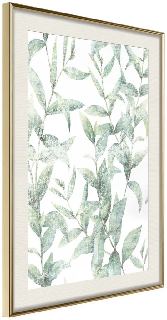 Αφίσα - Sheer Batiste - 20x30 - Χρυσό - Με πασπαρτού