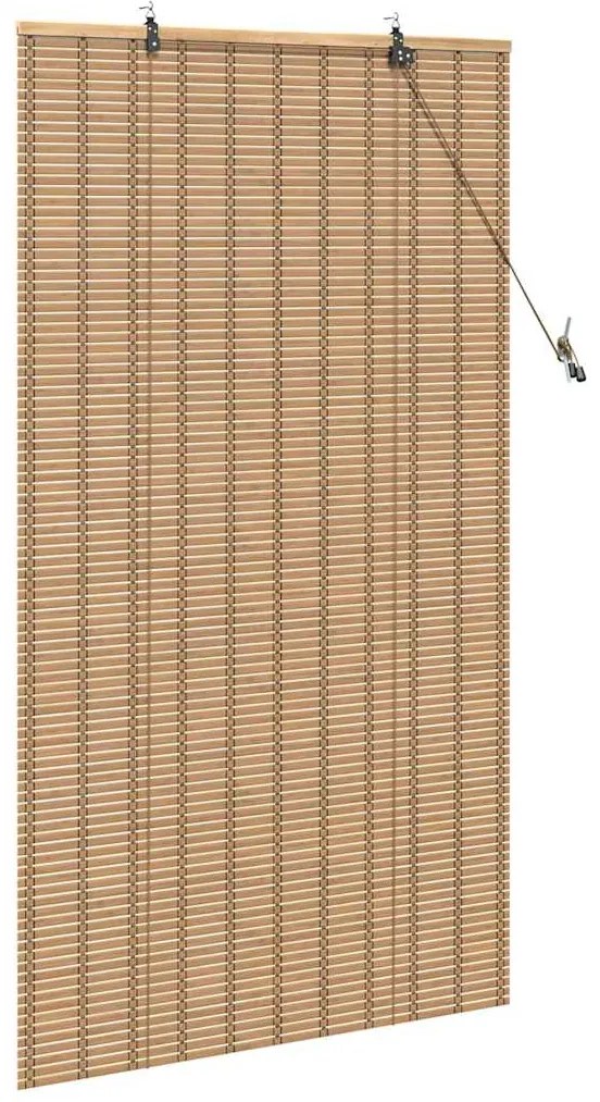 vidaXL Ρόλερ και Σκιάδια Ανοιχτό καφέ 100 x 160 cm Μπαμπού