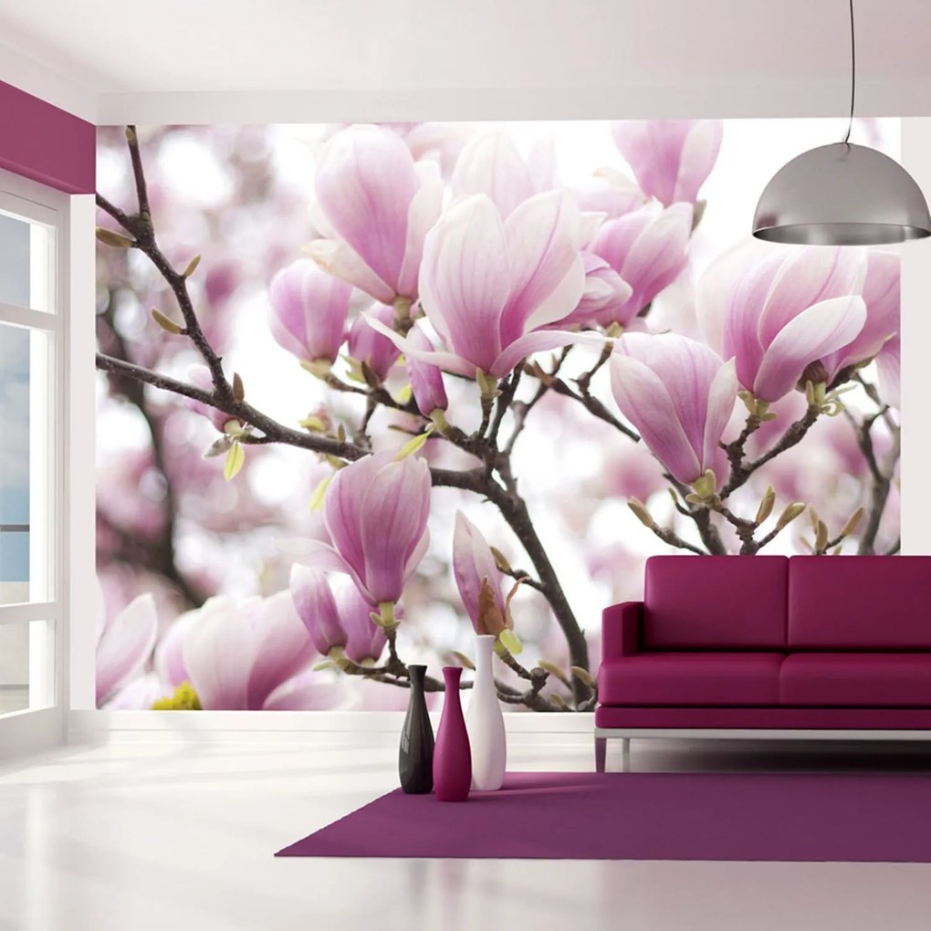 Φωτοταπετσαρία - Magnolia bloosom 400x309