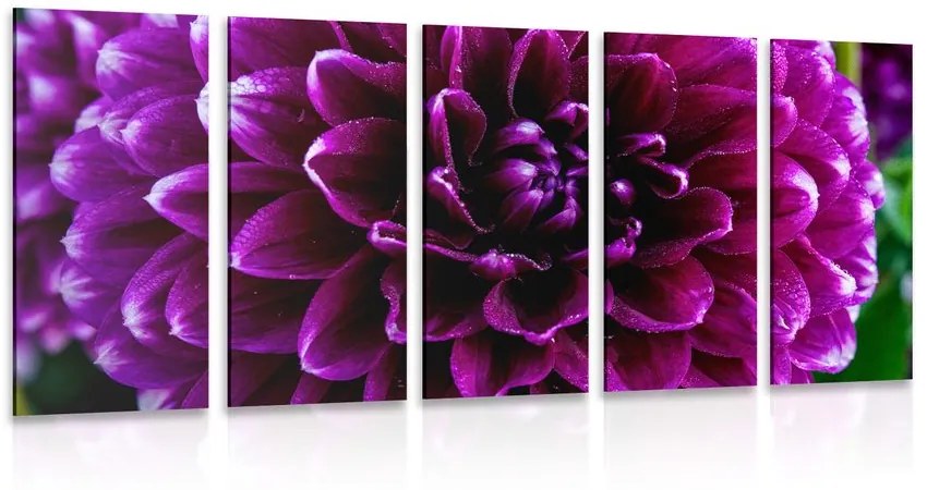 μωβ λουλούδι εικόνα 5 τμημάτων - 100x50