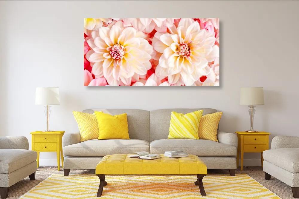 Εικόνα παστέλ λουλούδια ντάλια - 100x50