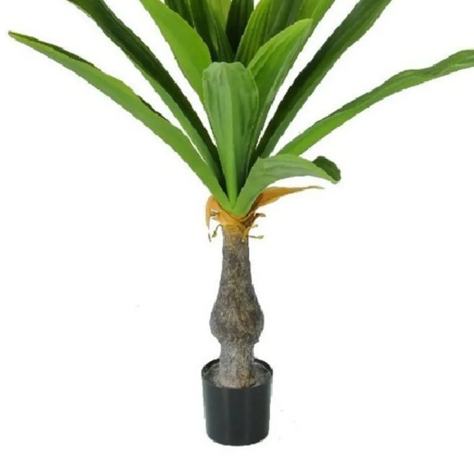 Plant in Pot CONCORAL Γιούκα 4000188-GR