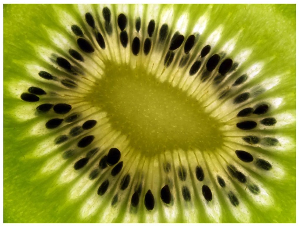 Φωτοταπετσαρία - fruits: kiwi 350x270