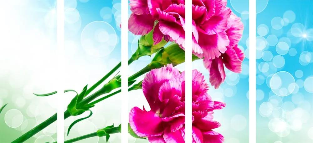 5 μέρη εικόνα λουλούδι γαρύφαλλο - 100x50