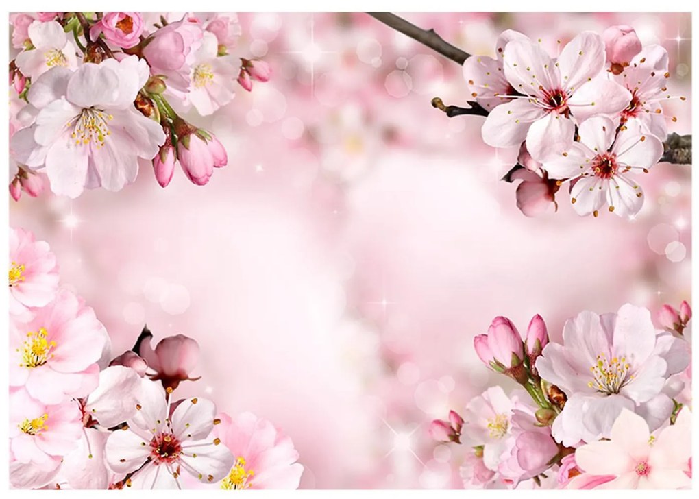 Φωτοταπετσαρία - Spring Cherry Blossom 250x175