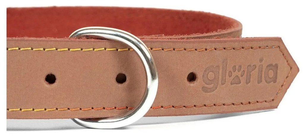 Κολλάρο Σκύλου Gloria Oasis Καφέ (50 x 2,1 cm)