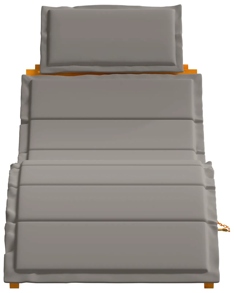 vidaXL Ξαπλώστρα 2 pcs Γκρι 184 x 55 x 64 εκ Μασίφ ξύλο ακακίας