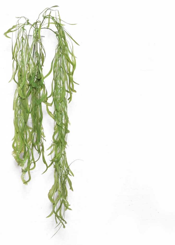 Supergreens Τεχνητό Κρεμαστό Χορτάρι Phyllo Πράσινο 90 εκ. - 0391-7