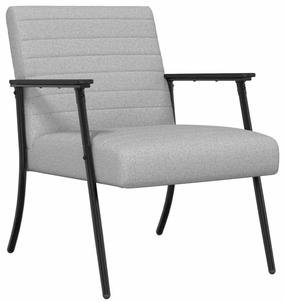 vidaXL Πολυθρόνα Σκίουρος Γκρί 59 x 75 x 78 εκ ύφασμα