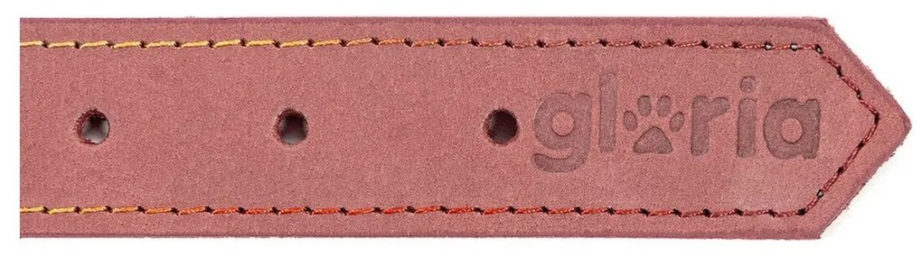 Κολλάρο Σκύλου Gloria Oasis Ροζ (50 x 2,1 cm)