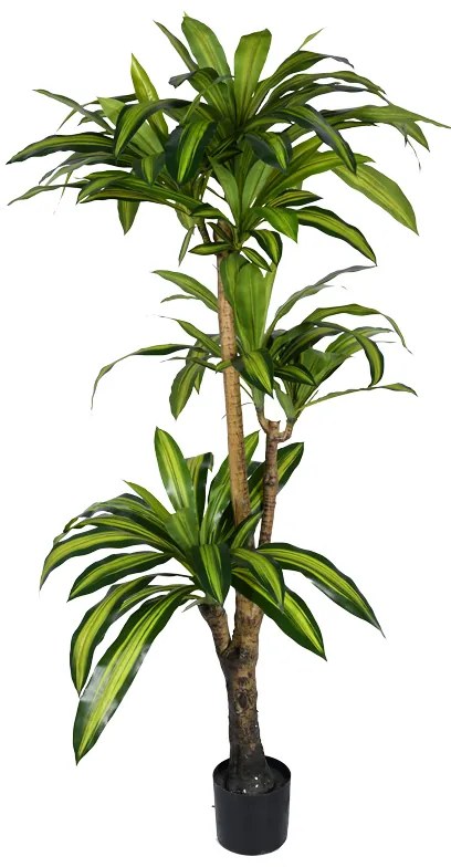 Διακοσμητικό φυτό Dracaena I σε γλάστρα Inart πράσινο pp Υ170εκ