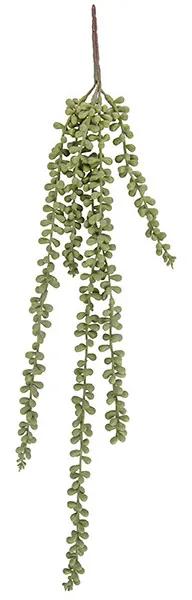 Τεχνητά φυτά Present Time  Bean