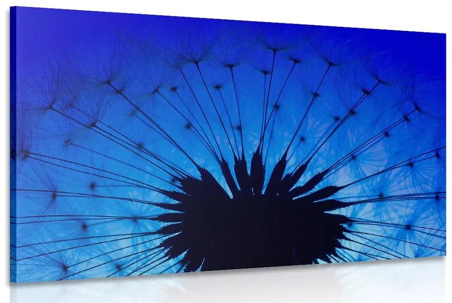 Εικόνα μπλε πικραλίδα - 60x40