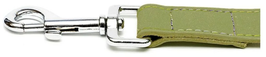 Λουρί Σκύλου Gloria Oasis 2.1 x 100 cm Πράσινο