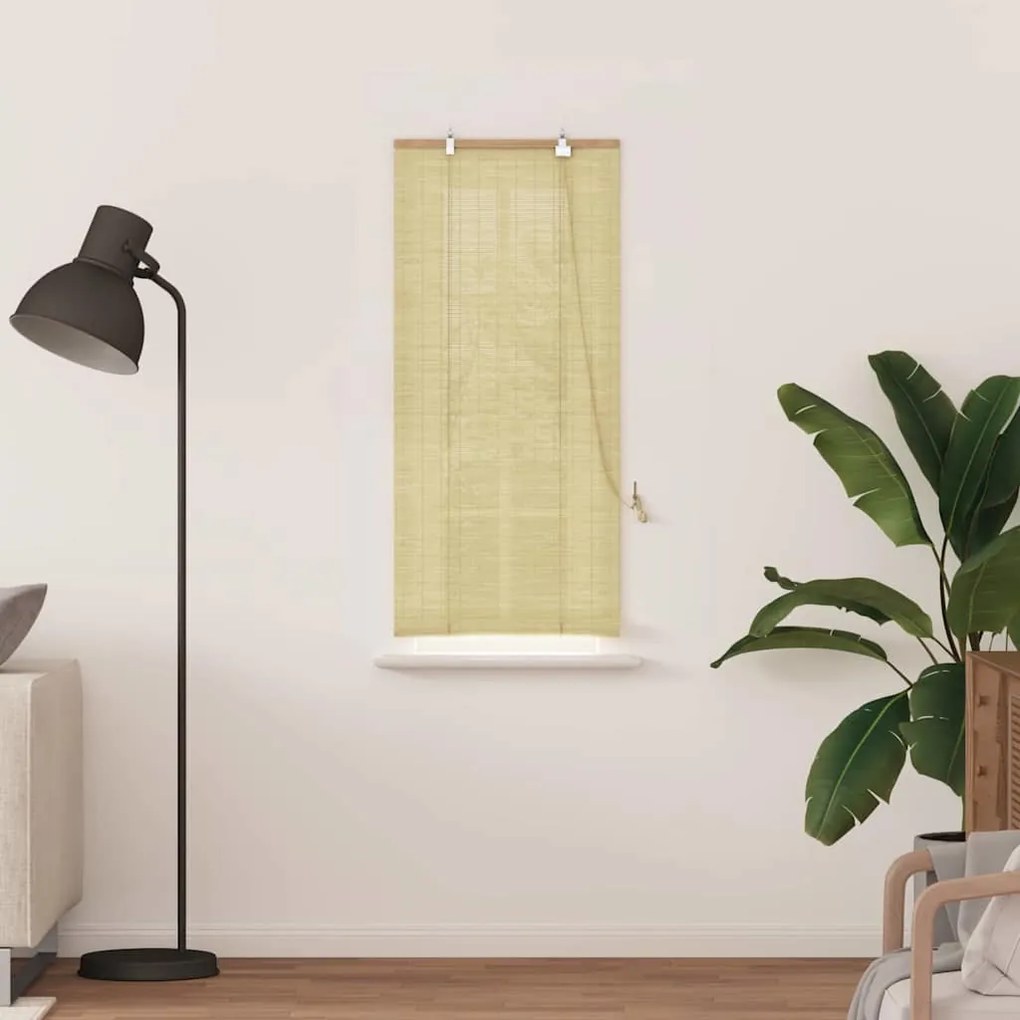 vidaXL Ρολά και Σκίες Παραθύρων Φυσικό 60 x 160 εκ. Μπαμπού