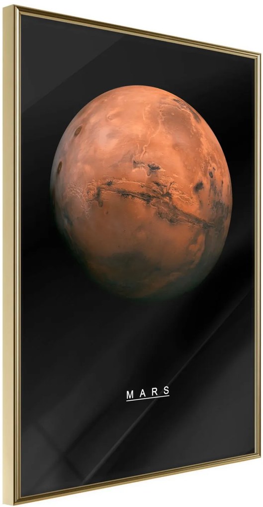 Αφίσα - The Solar System: Mars - 30x45 - Χρυσό - Χωρίς πασπαρτού