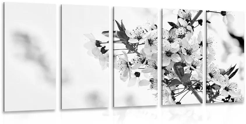 5 μέρη εικόνα λουλούδια κεράσια σε μαύρο & άσπρο - 200x100