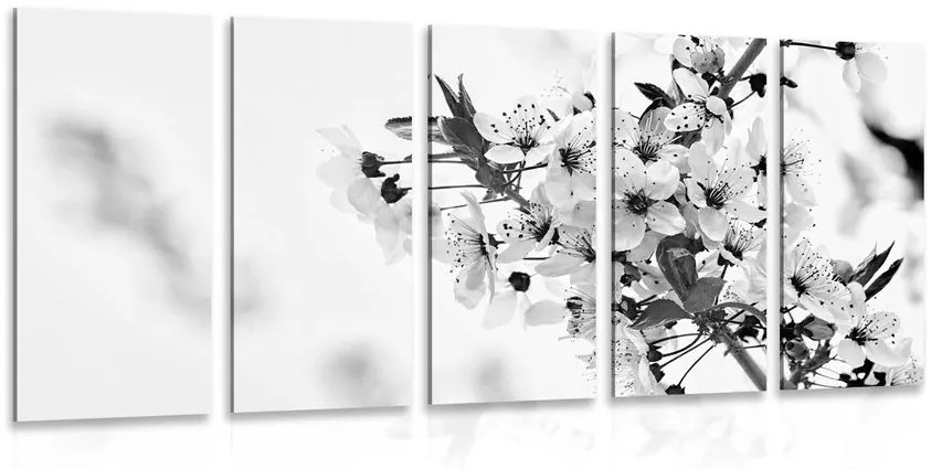 5 μέρη εικόνα λουλούδια κεράσια σε μαύρο & άσπρο