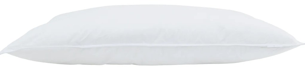 vidaXL Μαξιλάρια 2 pcs Λευκό 40 x 80 εκ. 130gsm 100% βαμβάκι