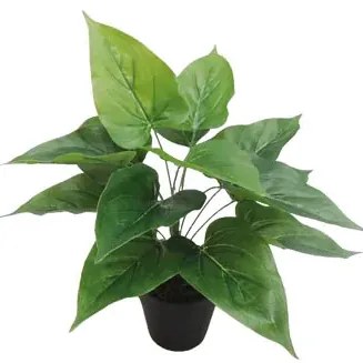 MarHome ΦΥΤΟ ΑΝΘΟΥΡΙΟ ΠΡΑΣΙΝΟ ΣΕ ΓΛΑΣΤΡΑ - Y30cm 6/36KIB  04-20048(18770)