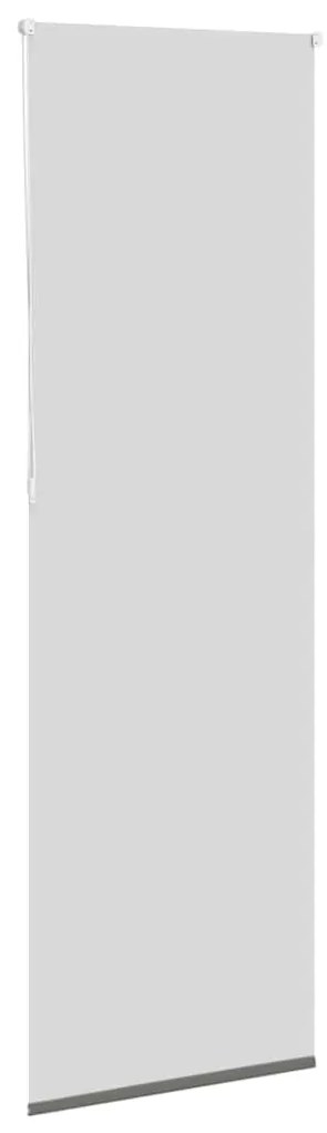 Ρολέρ Μπλακάουτ γκρί 80x230 cm Πλάτος υφάσματος 75,7 cm 4011202