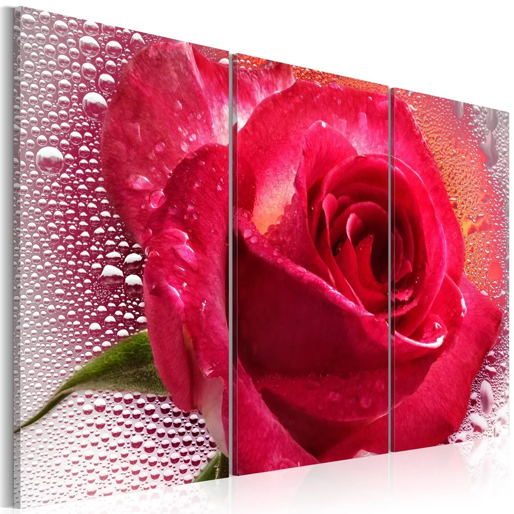 Πίνακας - Lady Rose - triptych 60x40