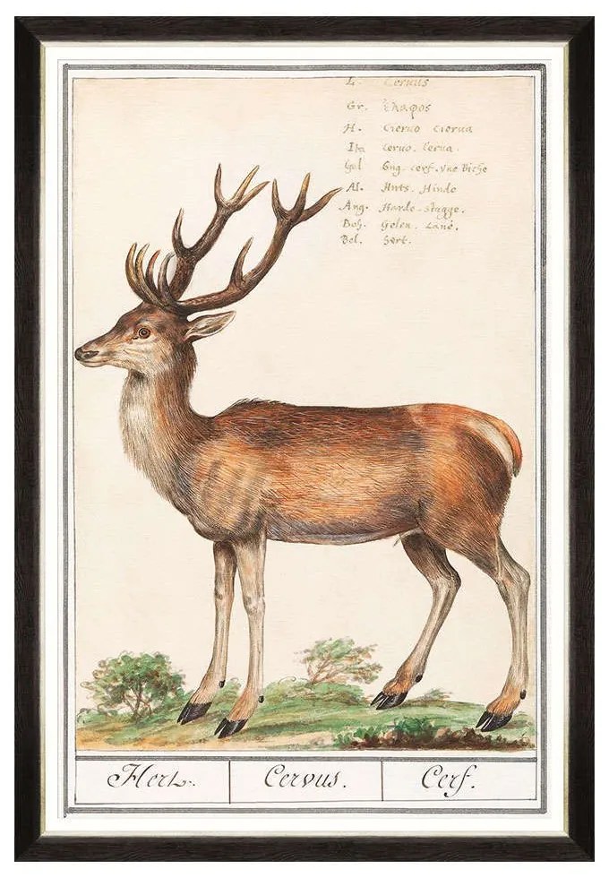 Κάδρο Cervus FA13239 60x90cm Brown-Green MindTheGap Κάθετοι Wood
