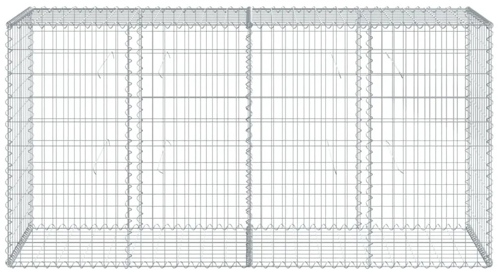 vidaXL Συρματοκιβώτιο με Κάλυμμα 200x50x100εκ. από Γαλβανισμένο Χάλυβα