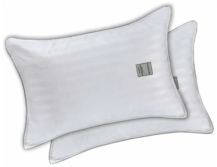 Ζεύγος Μαξιλάρια Ύπνου Σκληρά (50x70) Guy Laroche Easy Fit Hollowfiber