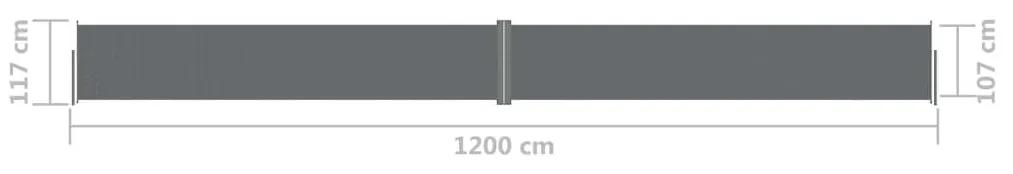 Διαχωριστικό Βεράντας Συρόμενο Ανθρακί 117 x 1200 εκ. - Ανθρακί