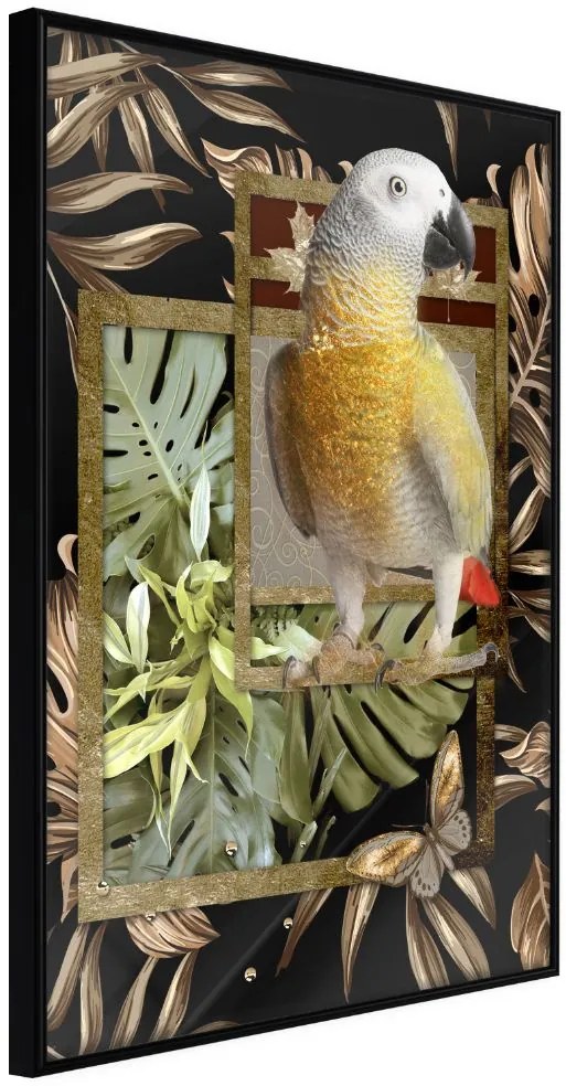 Αφίσα - Composition with Gold Parrot - 20x30 - Μαύρο - Χωρίς πασπαρτού