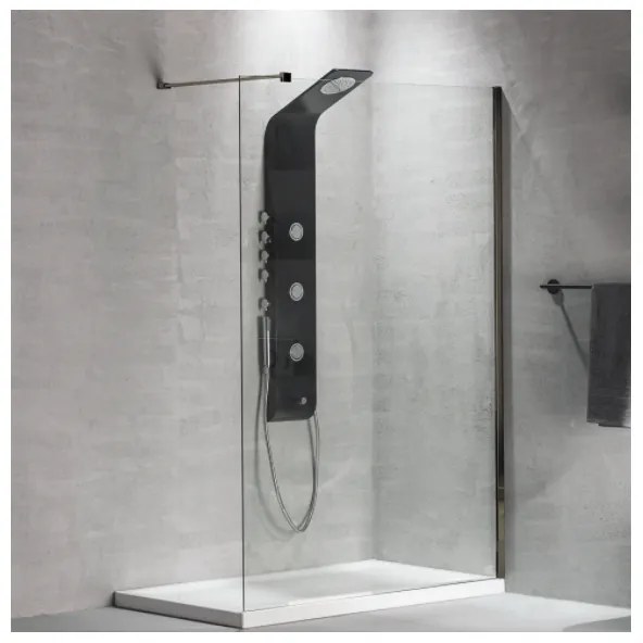 Devon Iwis Walk-in Inox 304 Διαχωριστικό Κρύσταλλο Ντουζιέρας Με Inox Brushed Βραχίονα 77-79 εκ. - ύψος 200 εκ