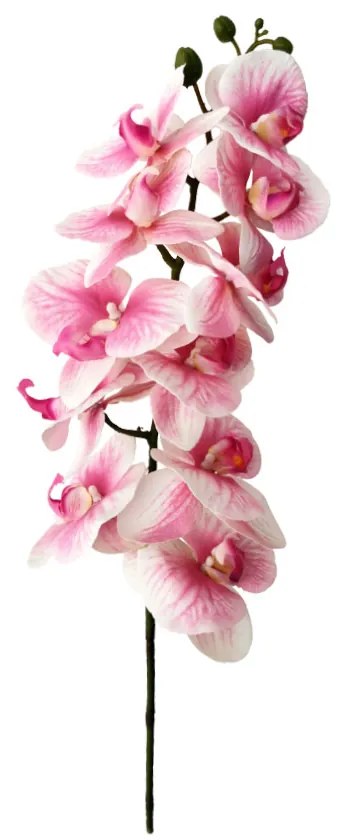 ORCHIDEE ΤΕΧΝΗΤΟ ΛΟΥΛΟΥΔΙ PEVA ΡΟΖ ΛΕΥΚΟ 91x16xH10cm - 020263 - 020263