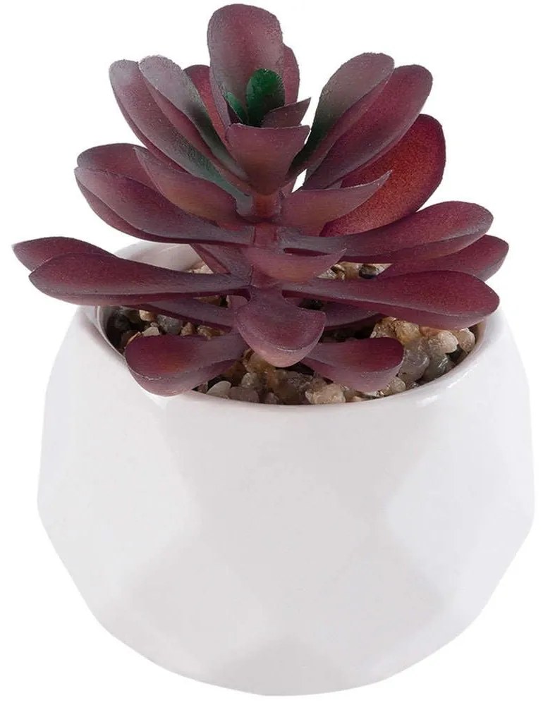 Τεχνητό Φυτό Σε Κασπώ Crassula 21004 Φ7x9,5cm Brown-White GloboStar Clay,Polyethylene
