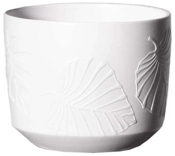 Κασπώ Κεραμικό 3560-8 14x14x12cm White Supergreens Κεραμικό