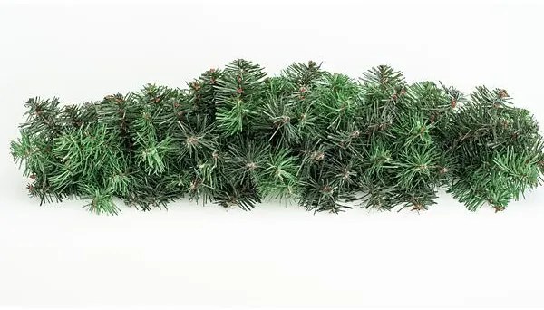 ΓΙΡΛΑΝΤΑ ΜΕ ΚΛΑΔΙΑ ΤΟΞΟ 80x22cm, 80 TIPS (ΠΑΧΟΣ ΤΩΝ TIPS 8cm), ΠΡΑΣΙΝΟ ΧΡΩΜΑ
