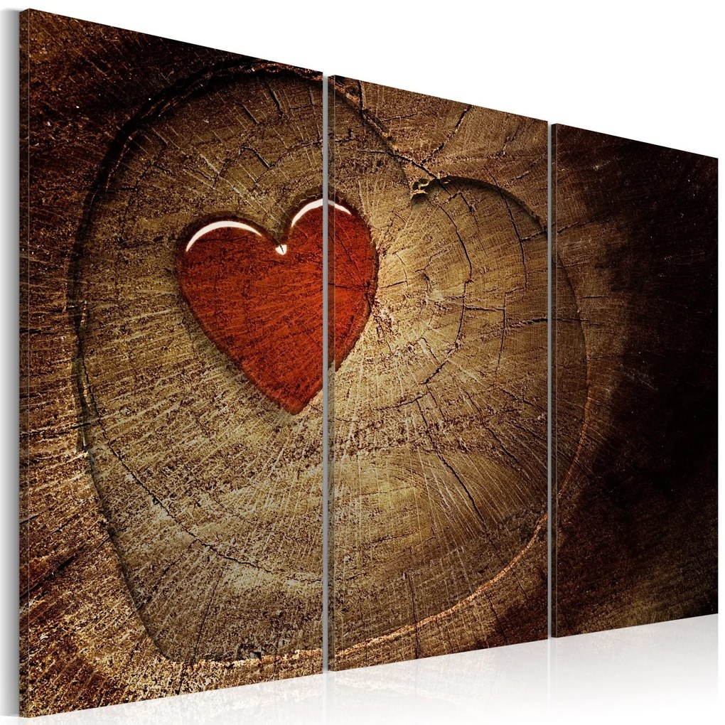 Πίνακας - Old love does not rust - 3 pieces 90x60