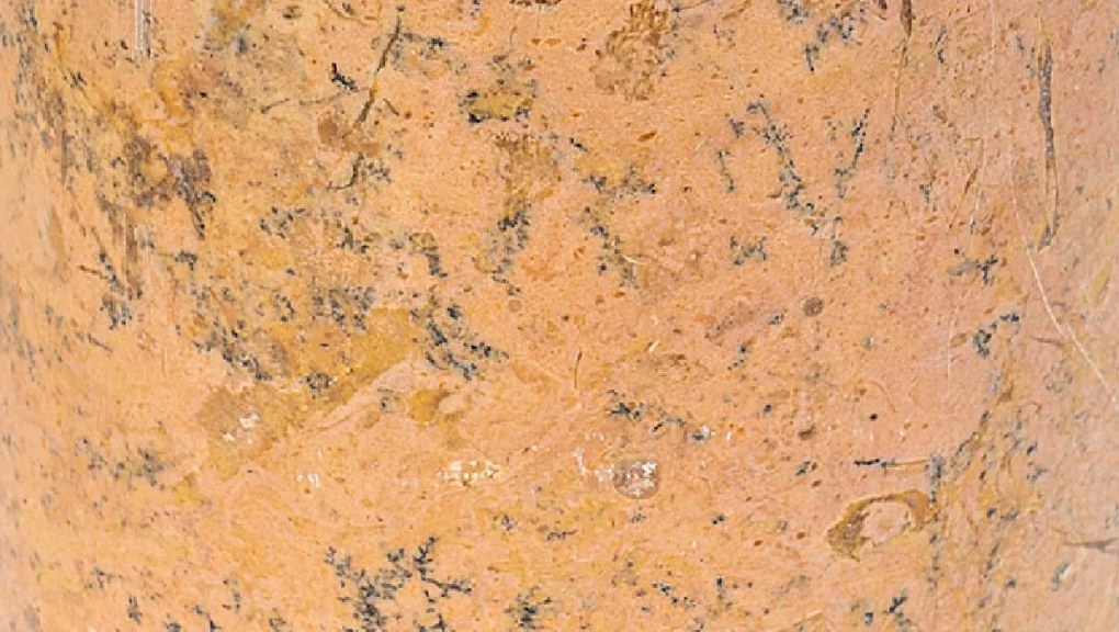 Toothbrush Holder S Line στρογγυλή S1591-0051