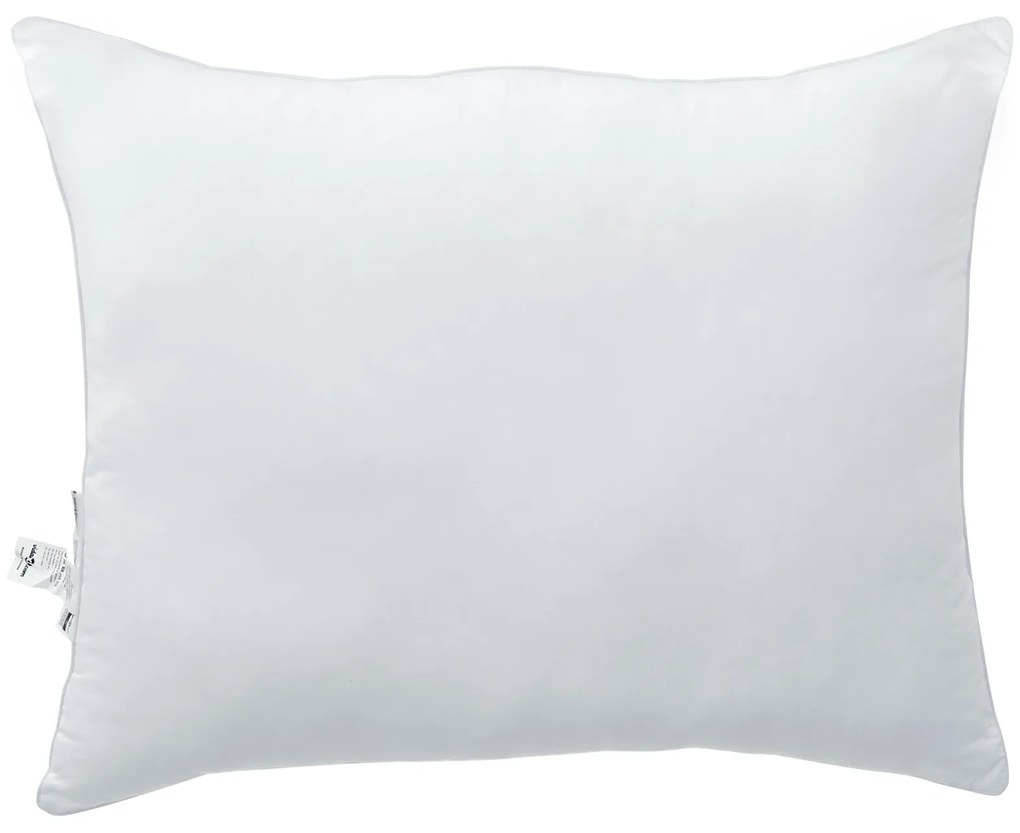 vidaXL Μαξιλάρια 2 pcs Λευκό 30 x 50 cm