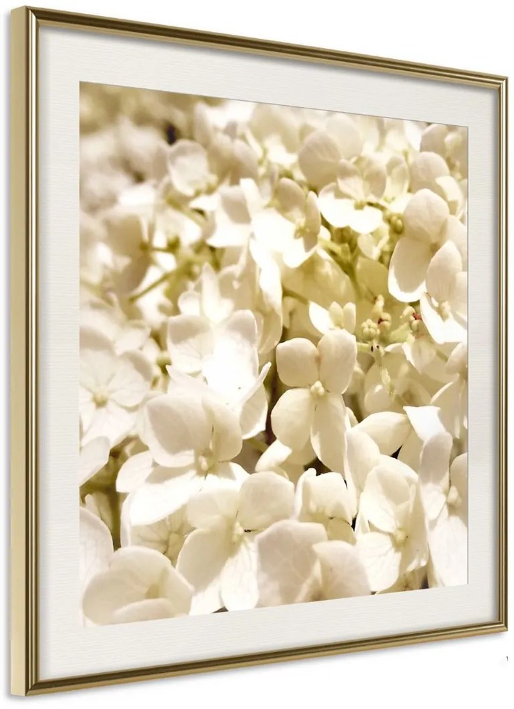 Αφίσα - Soothing Flowers - 30x30 - Χρυσό - Με πασπαρτού