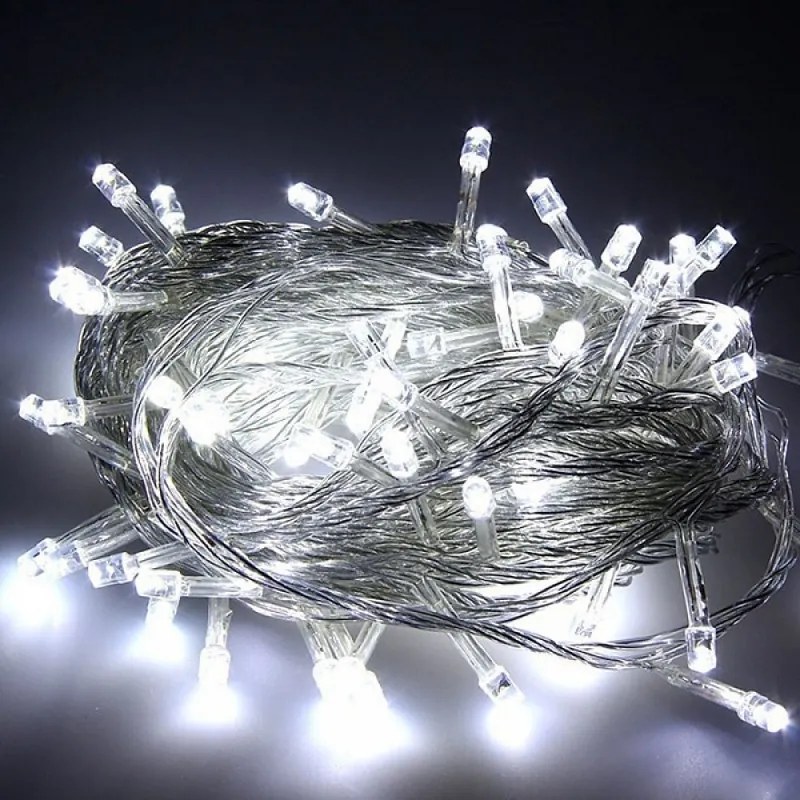 Epam Σειρά 100 LED Ψυχρό Λευκό Σταθερά 5m Διάφανο Καλώδιο Επεκτεινόμενα IP44 Ρεύματος XLALED100W-CC/31V