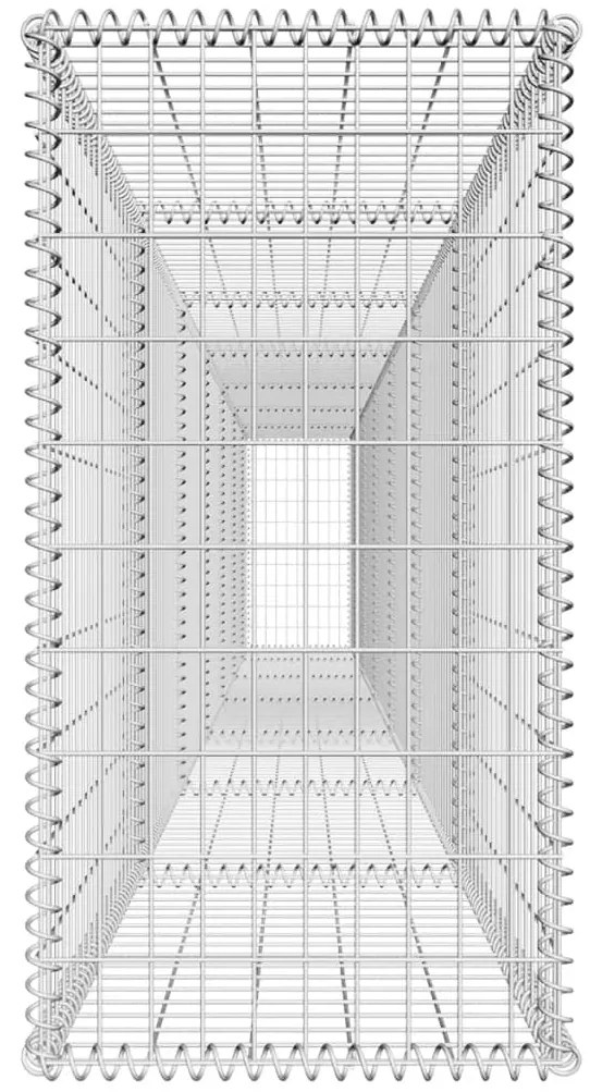 vidaXL Συρματοκιβώτιο Τοίχος 600x50x100 εκ. Γαλβαν.Χάλυβας + Κάλυμμα