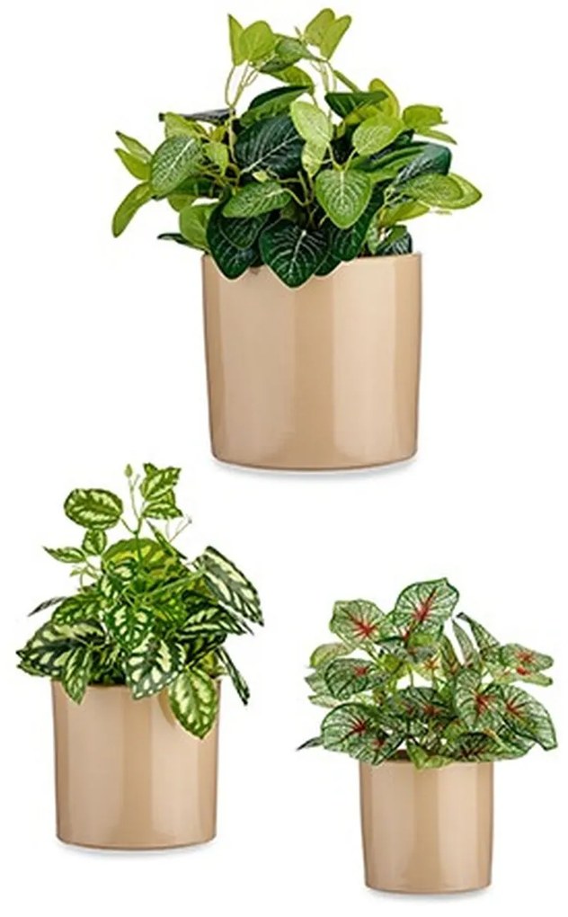Σετ από Γλάστρες Ibergarden Μπεζ Άργιλος Κύλινδρος Ø 14 cm Ø 22 cm Ø 17 cm 22 x 19 x 22 cm 3 Τεμάχια