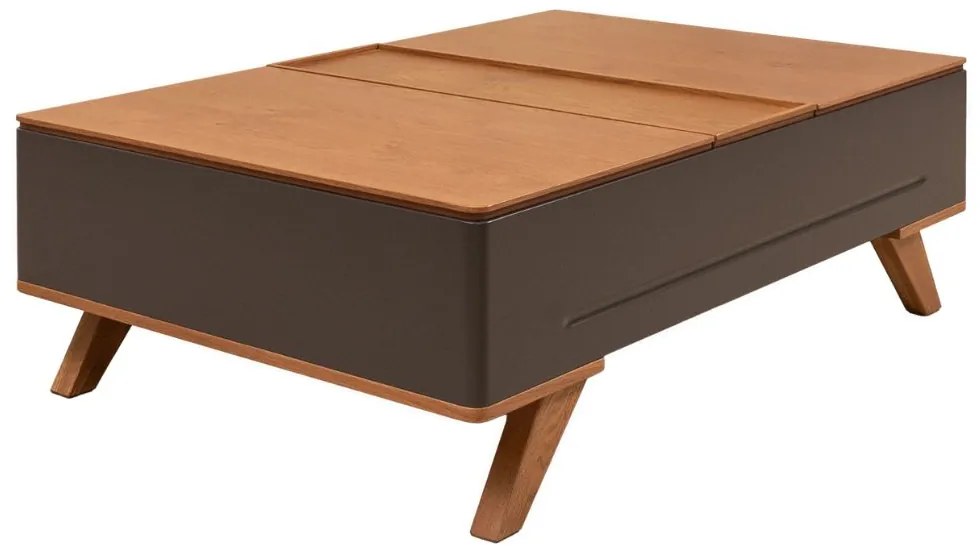 Τραπεζάκι Σαλονιού Aston 120x80x45