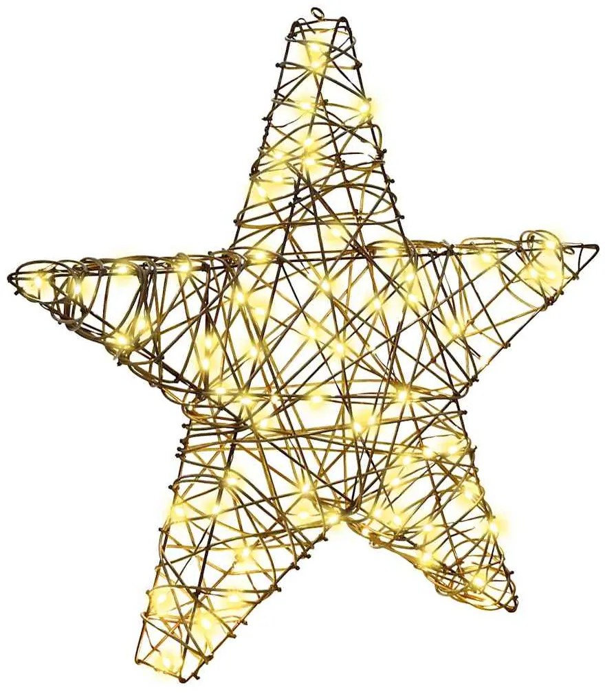 vidaXL 3D Αστέρι με 50 LED Θερμό λευκό 55 x 52.5 x 9 εκ Ρατάν